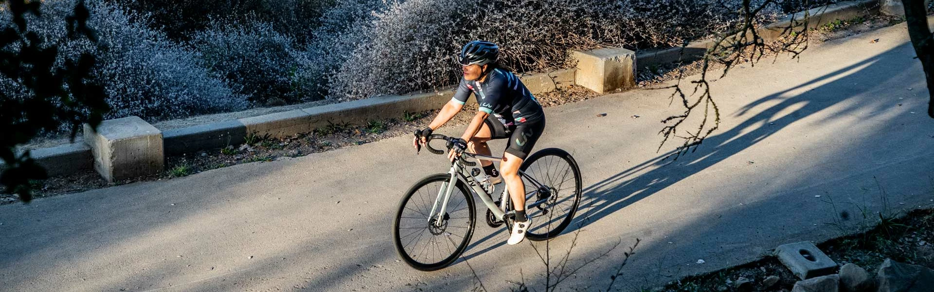 TRANSMISSION Boutique -TRANSMISSION Boutique 234D